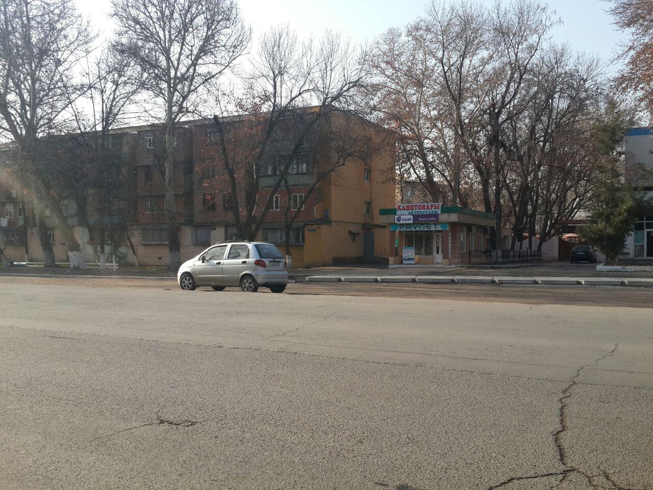 Ремонт дороги, обещанный почти год назад, решили начать с вырубки многолетних деревьев (фото) Ремонт дороги, обещанный почти год назад, решили начать с вырубки многолетних деревьев (фото)