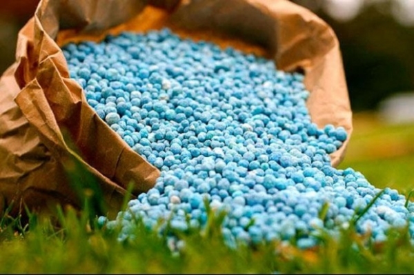 Производители минеральных удобрений Узбекистана недополучили почти $250 млн