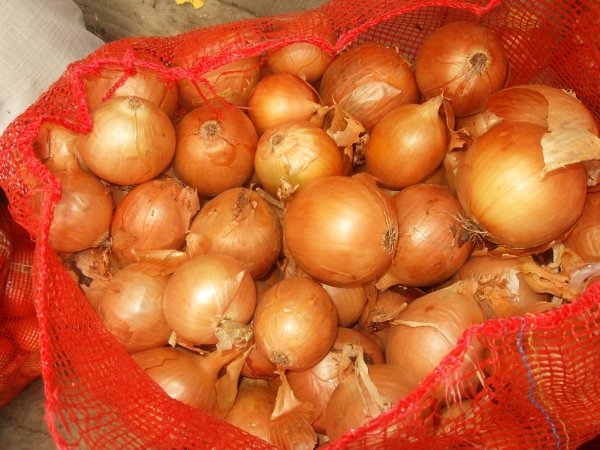 Бесплатный лук: хокимият Ташкента начал раздавать населению резервные запасы