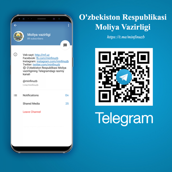 Министерство финансов присоединилось к социальным сетям и Telegram