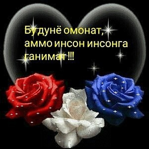 Ҳиёнат ўлимдан қаттиқ Ҳиёнат ўлимдан қаттиқ