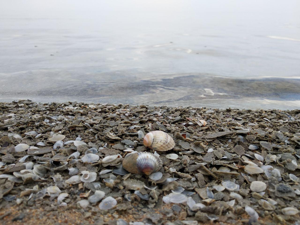 Аральское море: экологическое бедствие или повод отправиться в экстремальное путешествие?