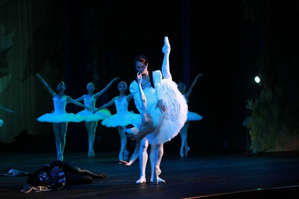 Лебединая песнь I-го «Palette of Ballet»