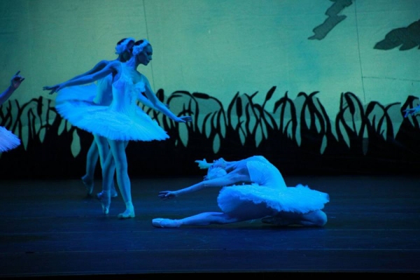 Лебединая песнь I-го «Palette of Ballet»