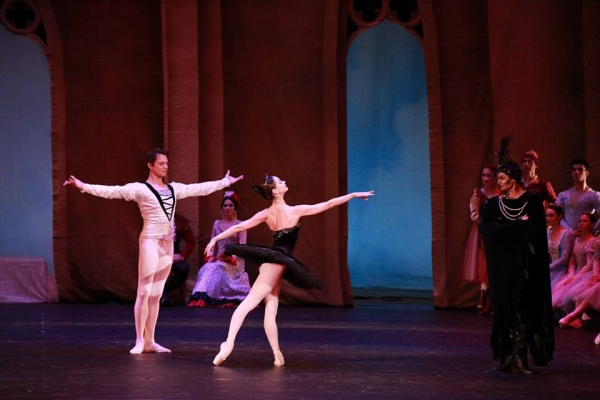 Лебединая песнь I-го «Palette of Ballet»