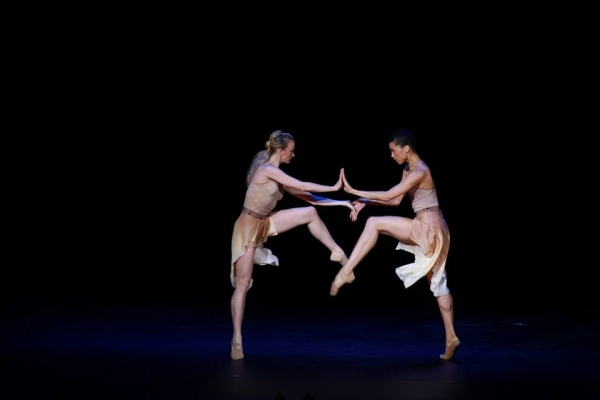 Лебединая песнь I-го «Palette of Ballet»