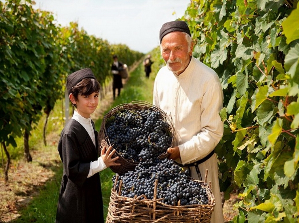 В Узбекистане начнут производить вино по грузинским технологиям