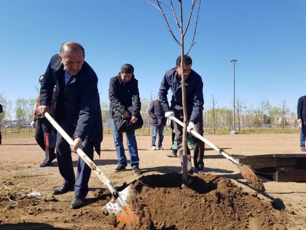 В память узбекистанцев, погибших в сгоревшем автобусе, в Астане посадили 52 дерева