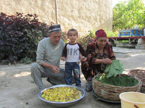 Райский плод из Самарканда