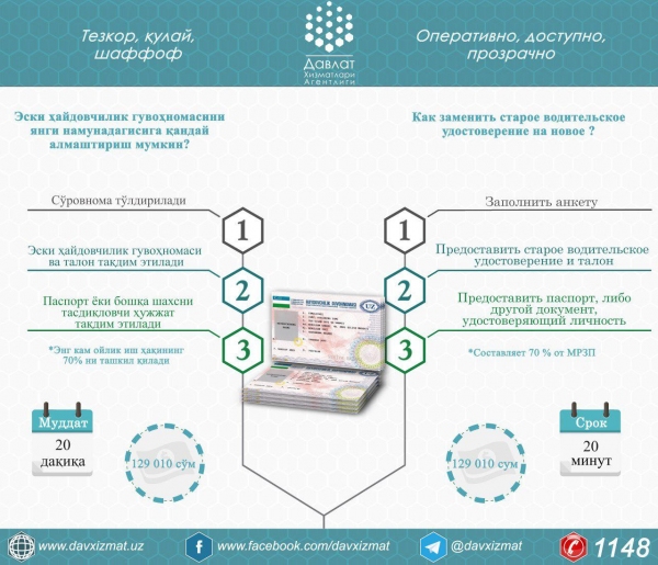 Замена старых водительских прав на новые займет 20 минут (инфографика)
