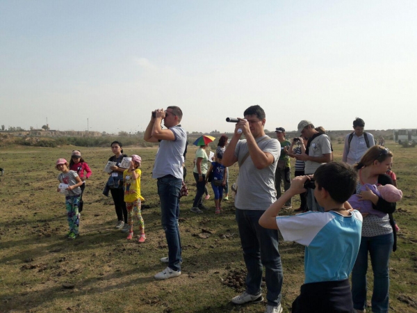 Стали известны результаты осенних наблюдений за птицами в Узбекистане