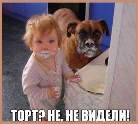К чаю просится само торт-пирожное Жербо! К чаю просится само торт-пирожное Жербо!
