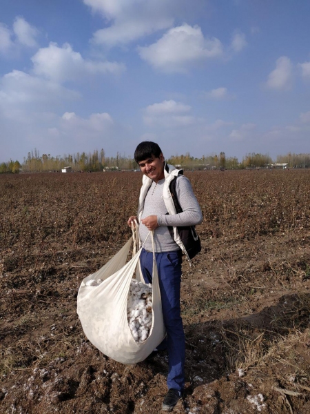 «Водители Намангана» вышли на сбор хлопка