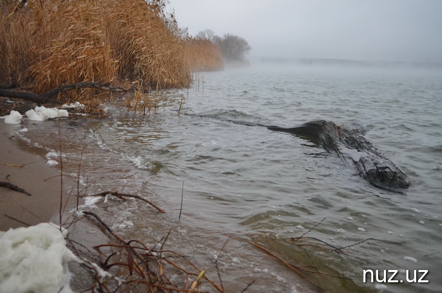 Вода и атом. Насколько безопасна АЭС для водной среды