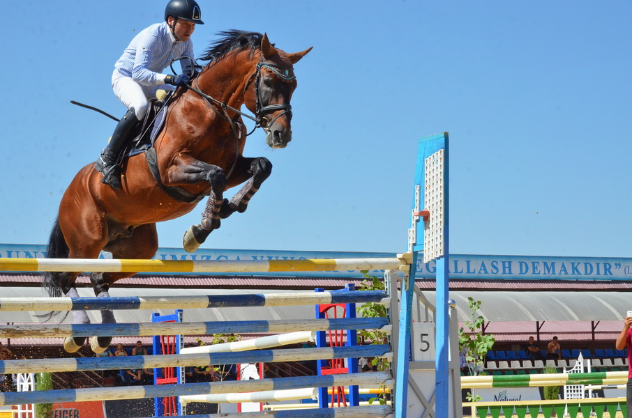 Разведение коней и развитие конного спорта доверят «Узбекистон темир йуллари»