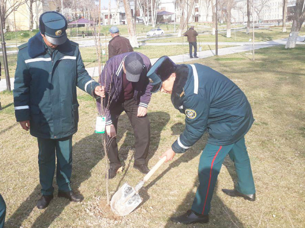 Начался фестиваль «Зеленая инициатива»: 9 марта сотрудники хокимията и ташкентского ГУВД высадили несколько тысяч деревьев