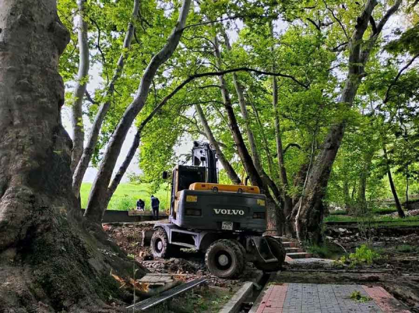 На историческом объекте Чор-Чинор под Самаркандом рубят вековые чинары