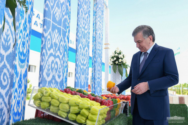 Жилые дома и новые предприятия: Шавкат Мирзиёев посетил Андижанскую область