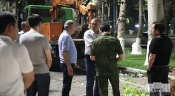 Хоким поймал «лесорубов», пытавшихся спилить ночью 20 деревьев напротив дворца «Туркистон» (видео)