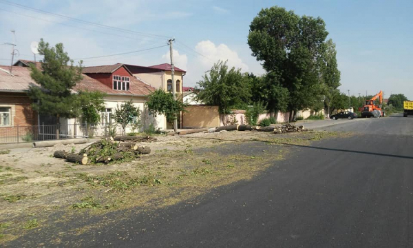 Вдоль столичной улицы Фаргона йули вырубают деревья, чтобы расширить дорогу