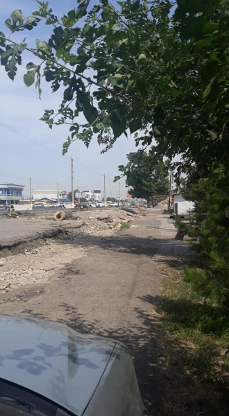 Вдоль столичной улицы Фаргона йули вырубают деревья, чтобы расширить дорогу
