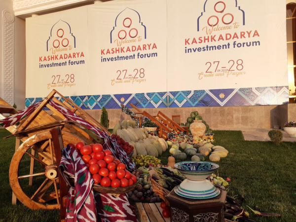 На Kashkadarya Ivestment Forum в Шахрисабзе была презентована первая в стране агро-деревня
