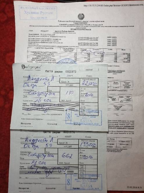 Бесчинства по адресу Ок-йул 59 завершены, или как пенсионерке вернули участок Бесчинства по адресу Ок-йул 59 завершены, или как пенсионерке вернули участок