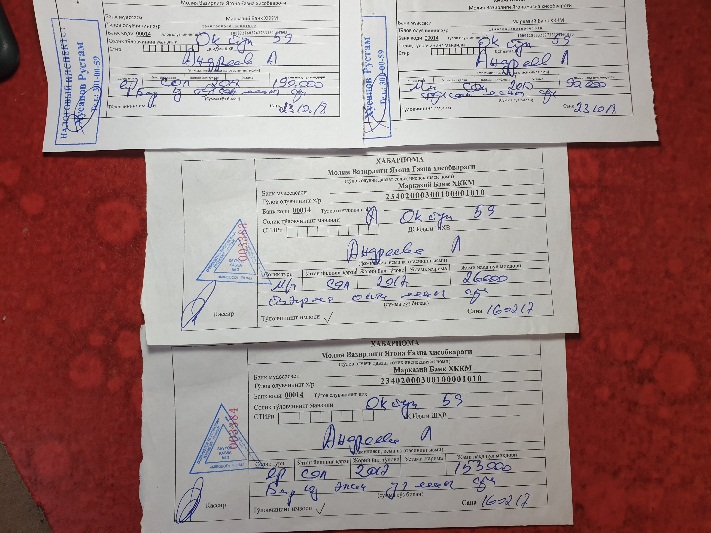 Бесчинства по адресу Ок-йул 59 завершены, или как пенсионерке вернули участок Бесчинства по адресу Ок-йул 59 завершены, или как пенсионерке вернули участок