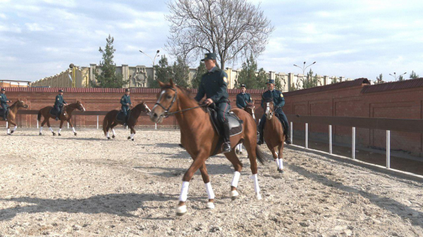 В Чиланзарском районе Ташкента открыт конный комплекс для кавалеристов патрульно-постовой службы ГУВД