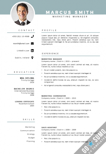 Отличный и простой вариант CV template