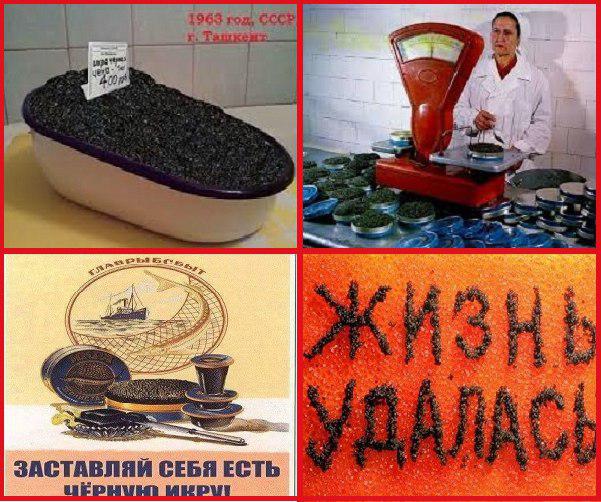 Как на выдумку богаты «Новогодние салаты»! Как на выдумку богаты «Новогодние салаты»!