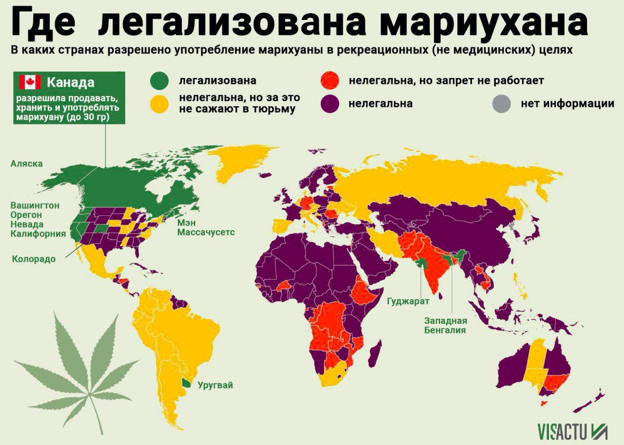 Где В России Можно Купить Про