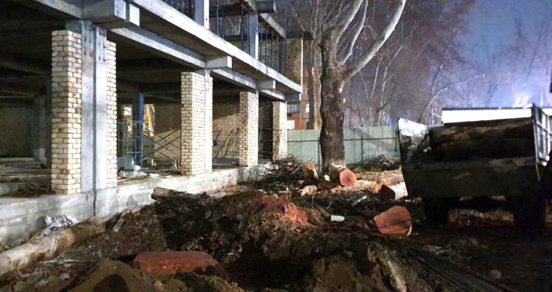 Возле театра оперетты в Ташкенте незаконно срублена чинара. Нарушитель привлечен к ответственности Возле театра оперетты в Ташкенте незаконно срублена чинара. Нарушитель привлечен к ответственности