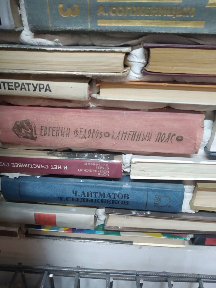 Пользователи сети в шоке от стены, созданной из книг великих писателей в городе Ош