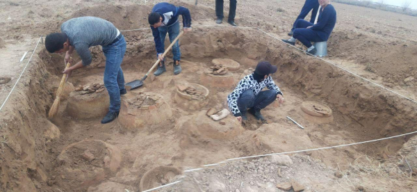 Фермер из Сурхандарьинской области нашел зернохранилище эпохи Кушанского царства (фото)
