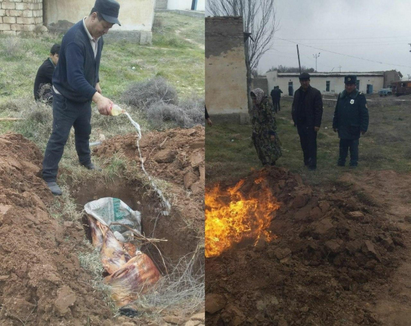Кашкадарьинец был уличен в попытке провести в Ташкент 100 килограммов испорченного мяса