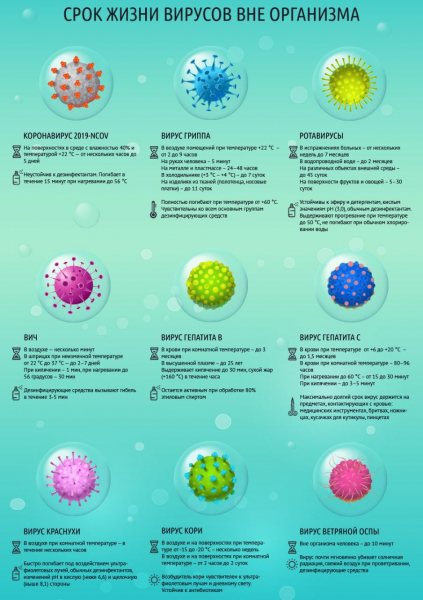 Срок жизни вирусов вне организма