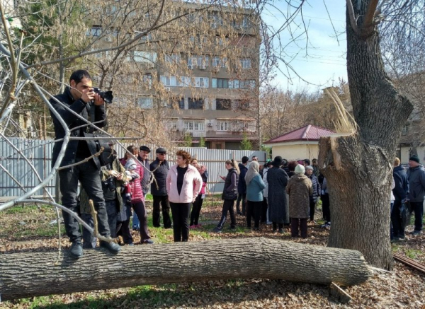 Не частный случай, или Цена двора в жилом районе столицы