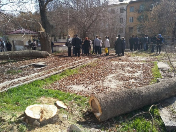 Не частный случай, или Цена двора в жилом районе столицы