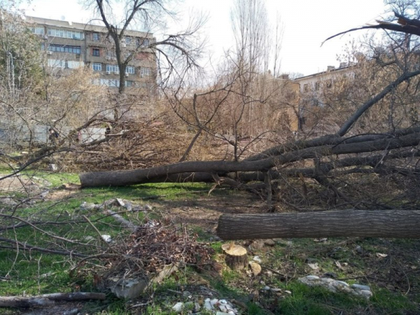 Не частный случай, или Цена двора в жилом районе столицы