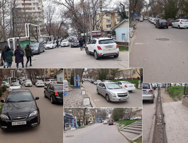 На улице Чуст в Мирзо-Улугбекском районе Ташкента начнется реконструкция: деревья обещают сохранить (фотолента)