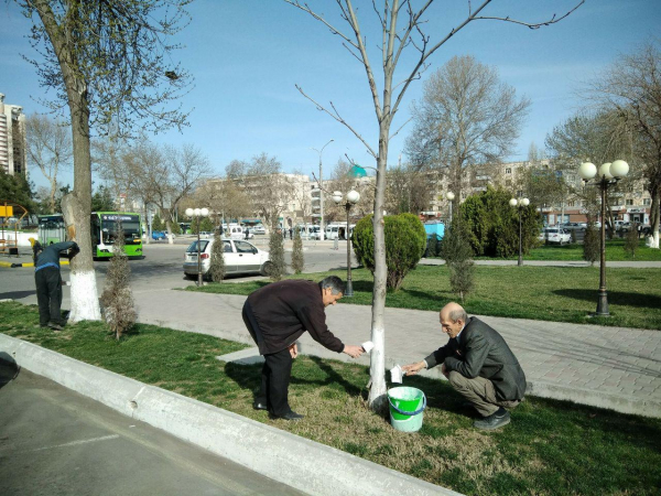 14-15 марта в Узбекистане пройдет всенародный хашар