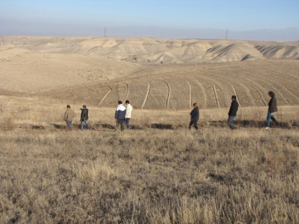 Как приумножить леса в Узбекистане?