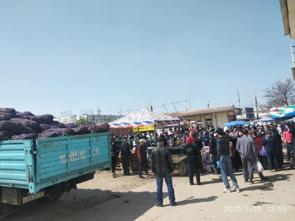 Продавцы картошки устроили панику на ташкентских рынках