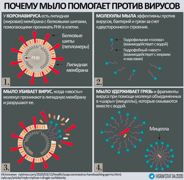 Как мыло убивает вирусы и бактерии