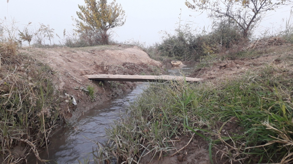 В фермерском хозяйстве молодой человек был ранен в живот из-за воды в арыке