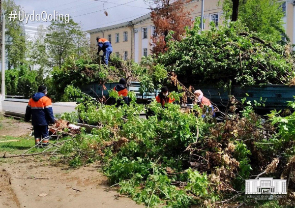 В Ташкенте восстановлены газоснабжение и подача питьевой воды, ремонт оборванных электросетей подходит к концу (фото)