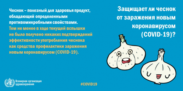 Защищает ли чеснок от заражения COVID-19?