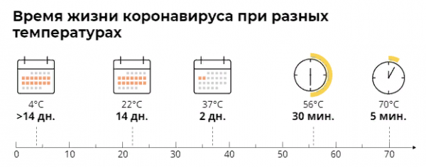 Время жизни коронавируса при разных температурах