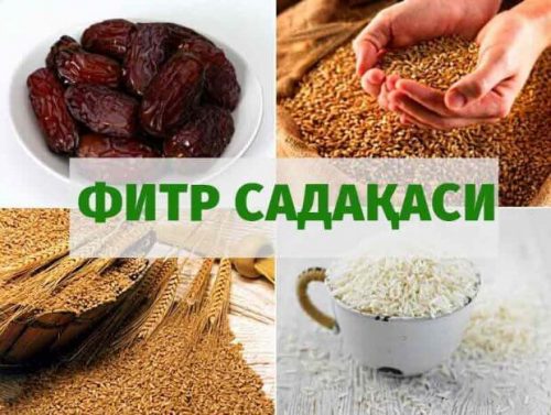 Фитр садақасини бериш кимларга вожиб? Фитр садақасини бериш кимларга вожиб?